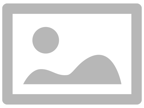 image-677064-92320cb11ee84ad48939640ba1f7a800.png